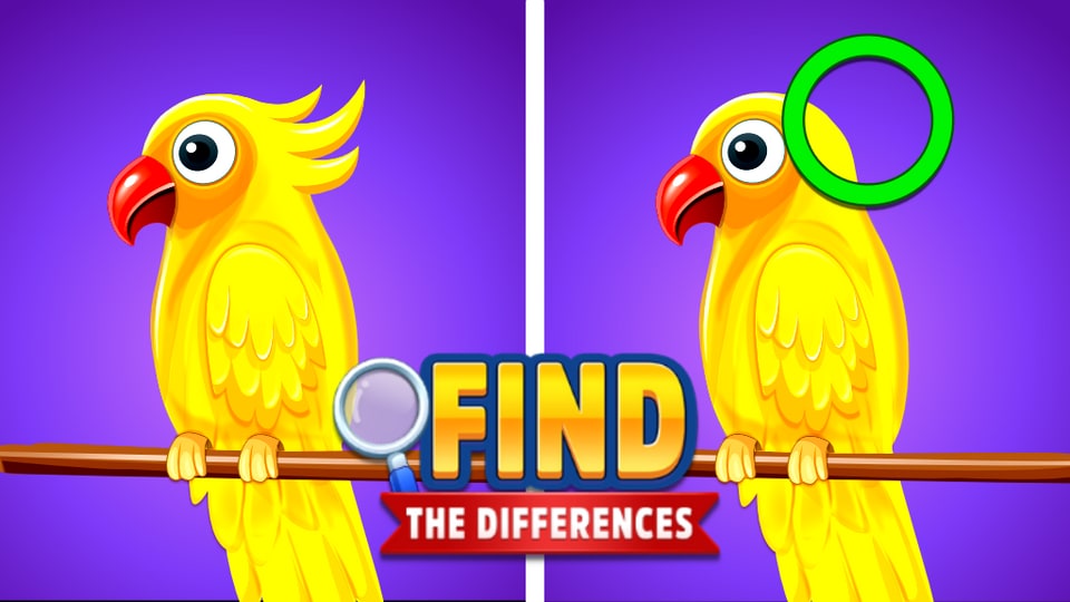 Find the Difference - Online by Or Hilely